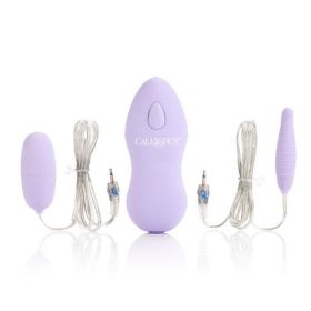 Twin Pleasure Pak Bullet Vibrators - Purple